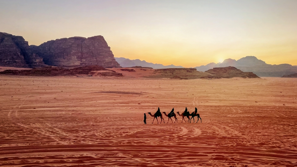Nomads and City Dwellers