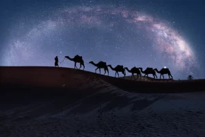 Nomads and City Dwellers: Institutions, Worldview